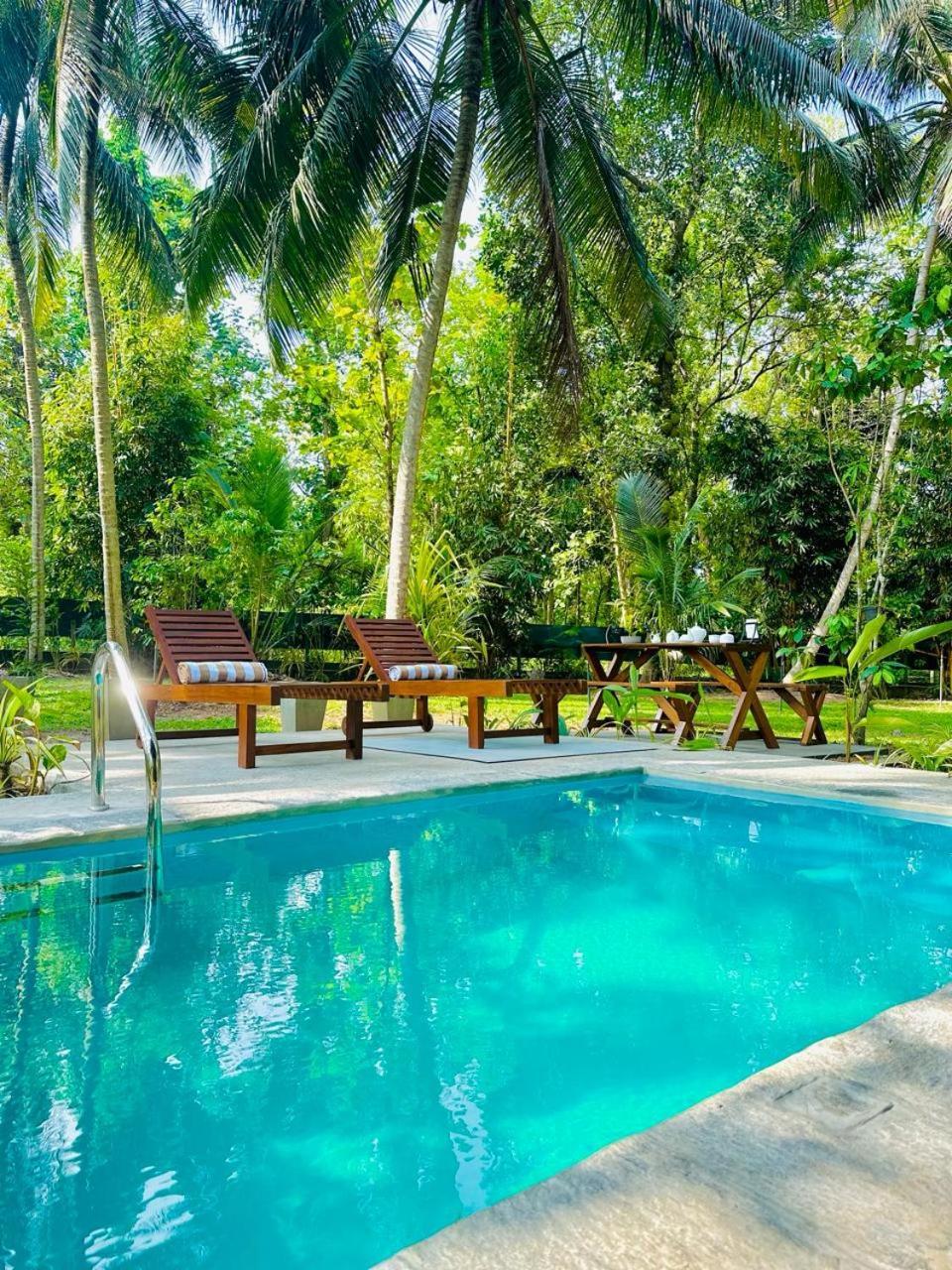 Elegant Hamlets Home Stay Chilaw Zewnętrze zdjęcie