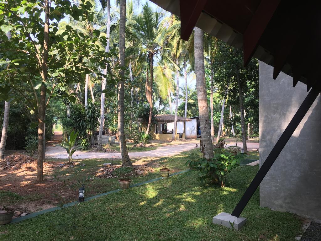 Elegant Hamlets Home Stay Chilaw Zewnętrze zdjęcie