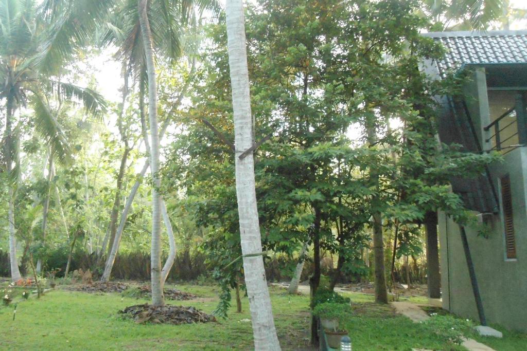 Elegant Hamlets Home Stay Chilaw Zewnętrze zdjęcie